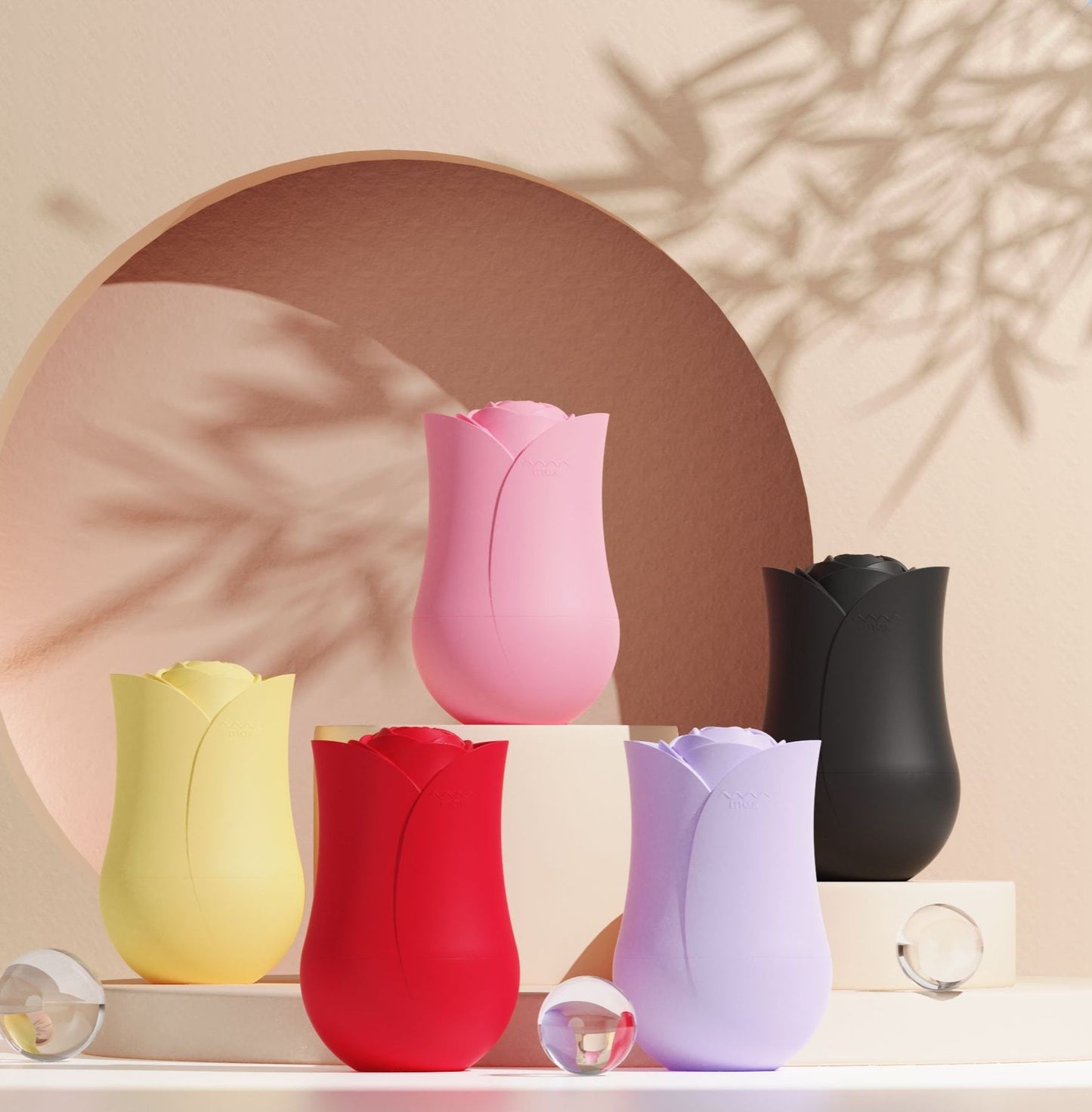 Cooling Roller Apply Face Plastic Ice Cube Tray